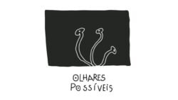 Olhares Possíveis